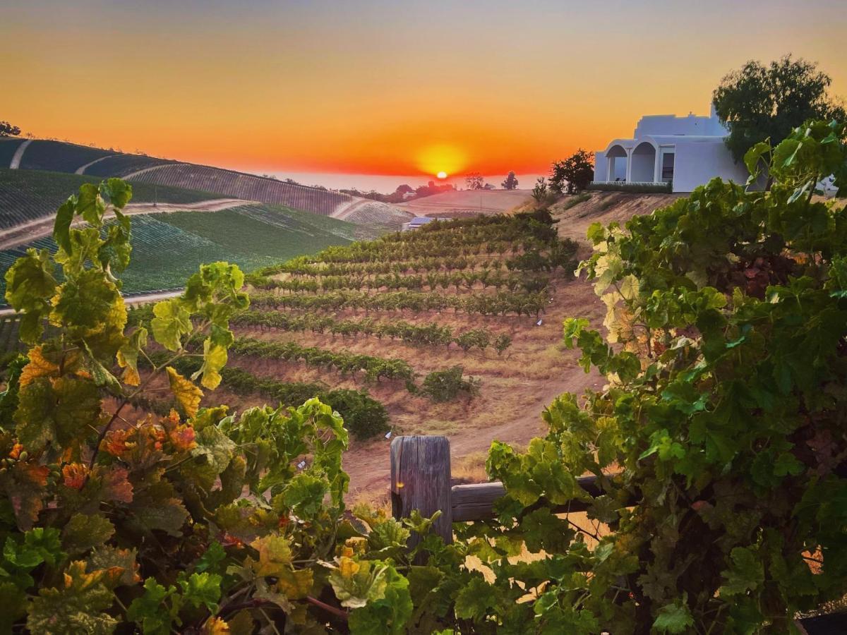 Sirena Vineyard Resort Paso Robles Zewnętrze zdjęcie